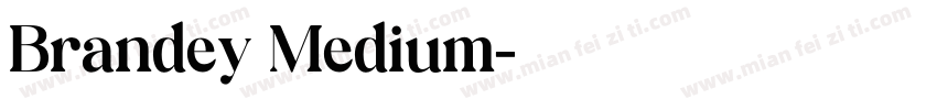 Brandey Medium字体转换